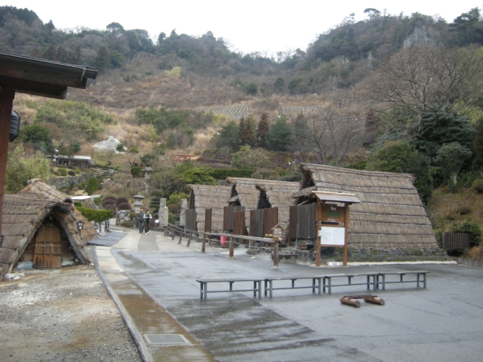 유노하나재배지