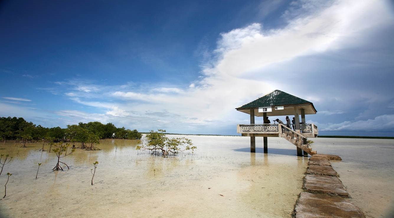 캐리비언호핑&쌍뚜아리