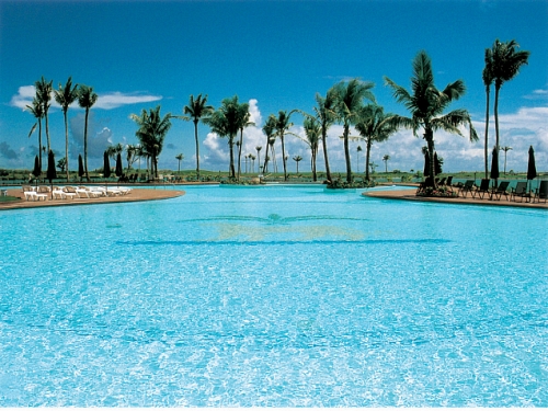 레오팔레스(풀)