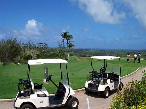 레오팔레스(골프)