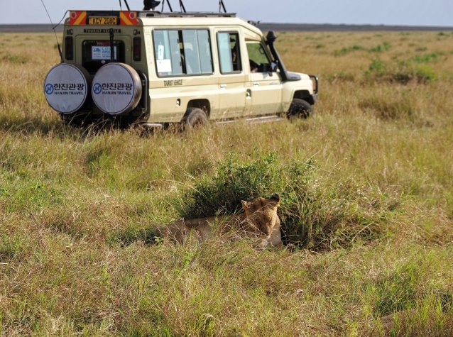마사이마라 박용주TC