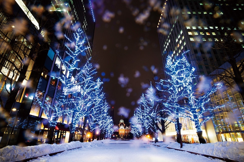 삿포로 일루미네이션