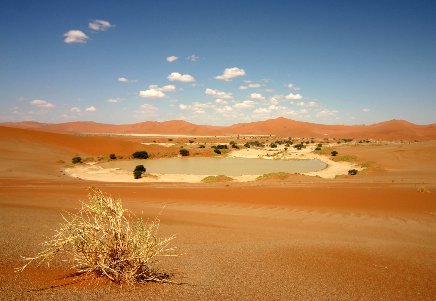 Sossusvlei1(린투어)