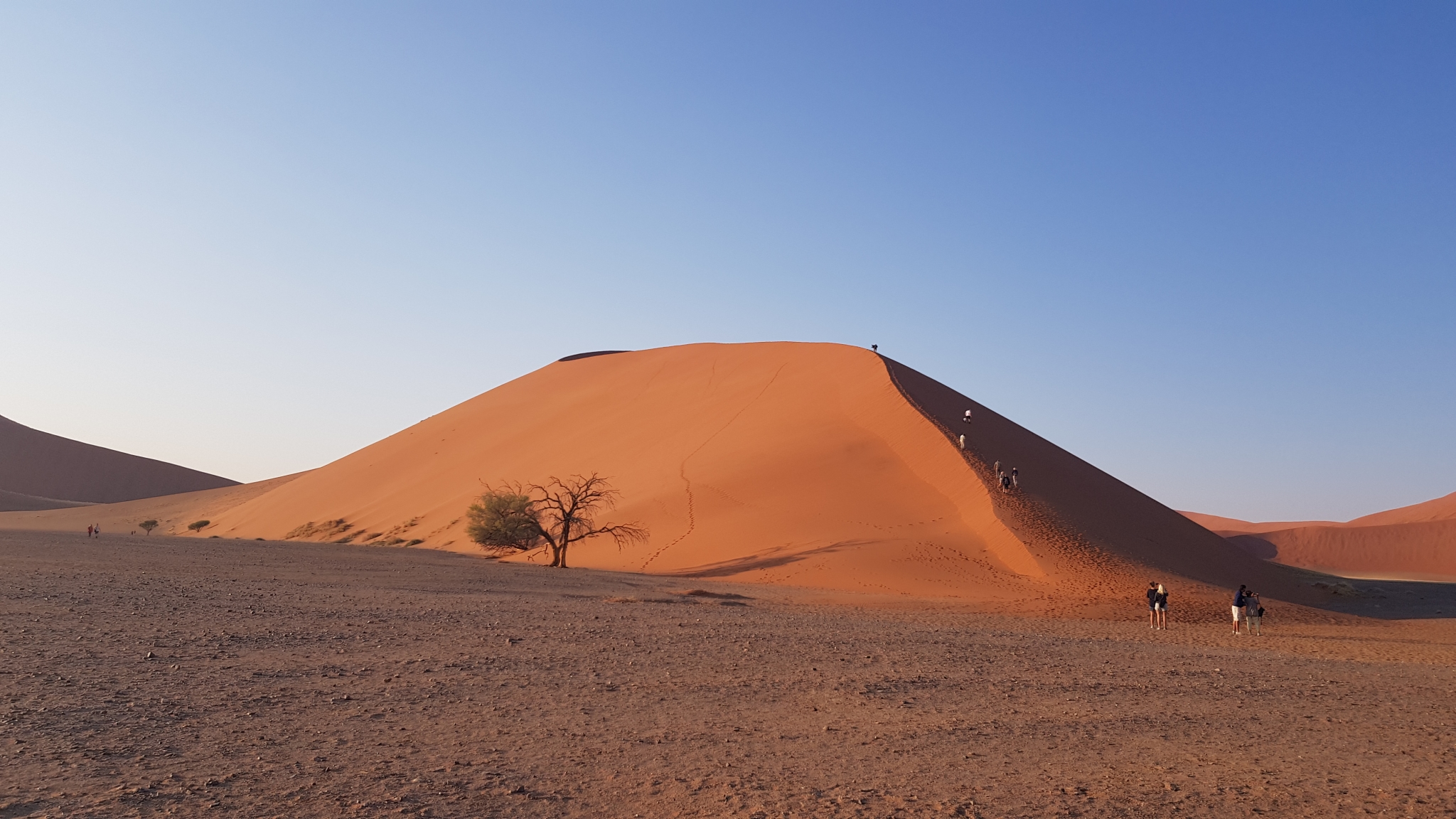 둔45(아프릭코리아)