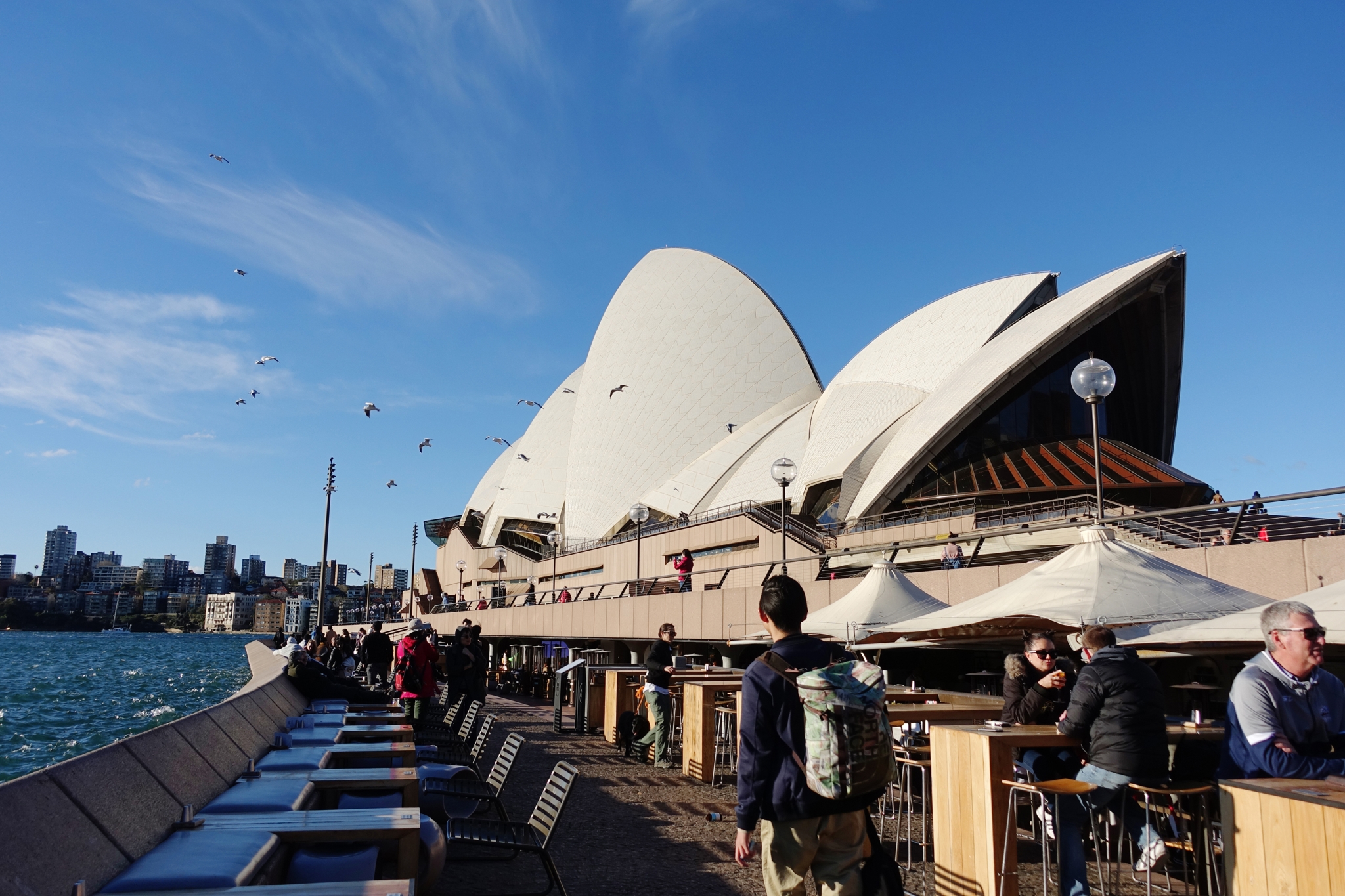 시티 오페라하우스