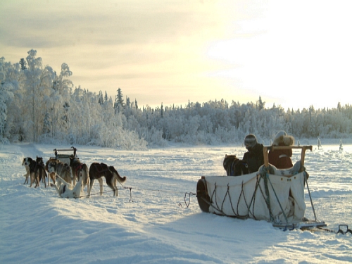 DogSled
