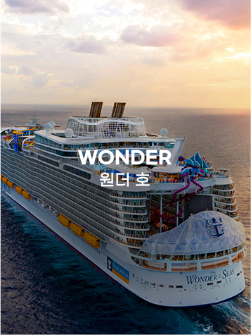 원더호